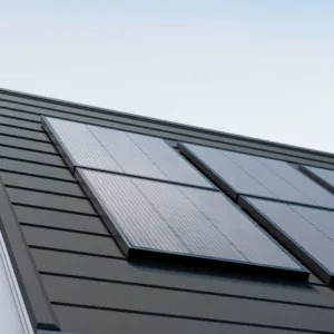 Panel Solar Rígido Ecoflow 100W (2PCS)